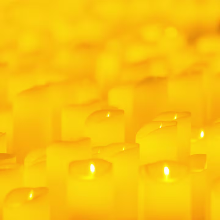 Candlelight The Best of Bollywood and Tollywood on Strings